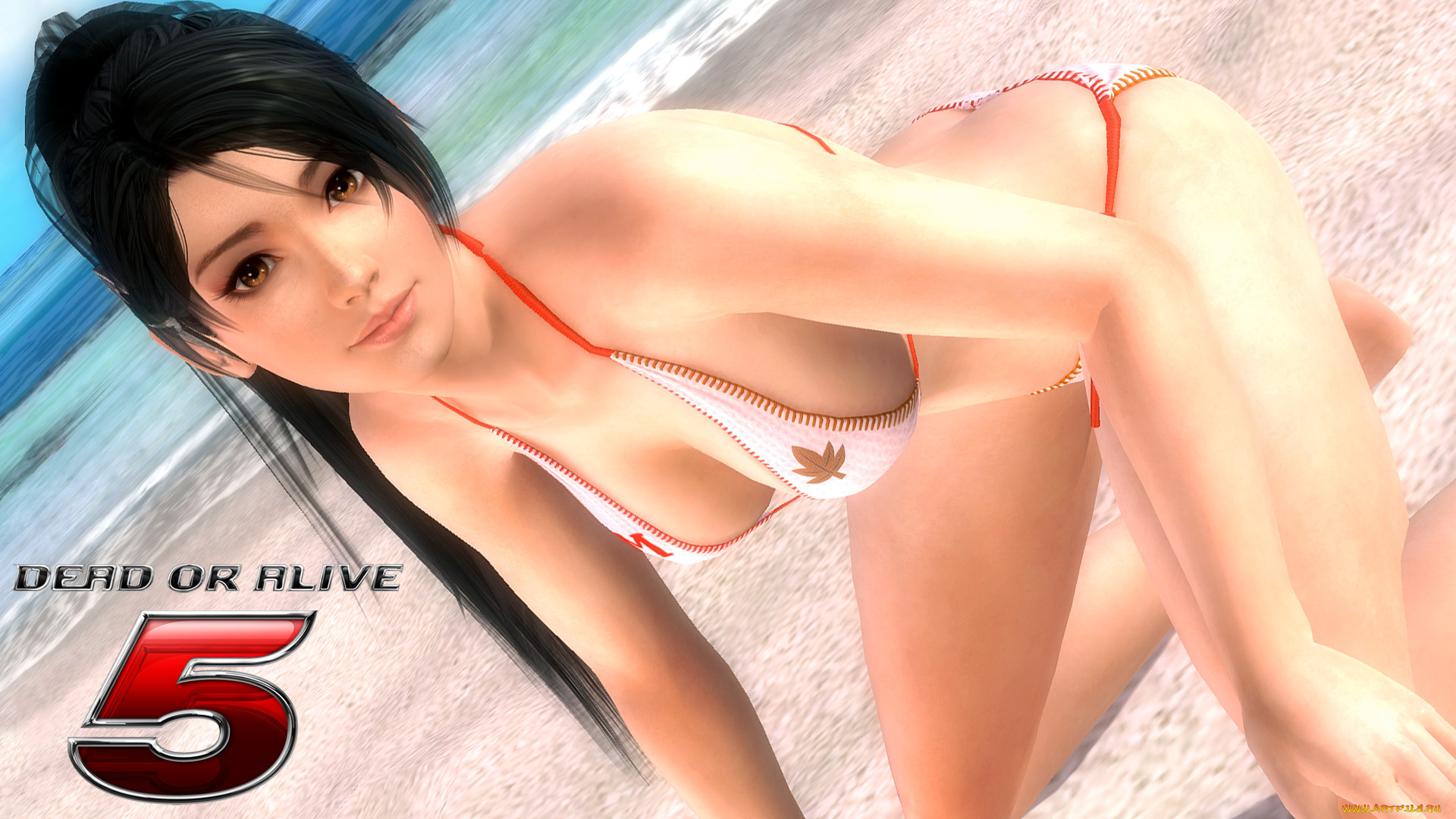  , dead or alive 5, , 